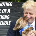 dog licking arsehole boris