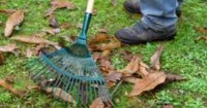 Last few weeks of garden waste collections for 2022