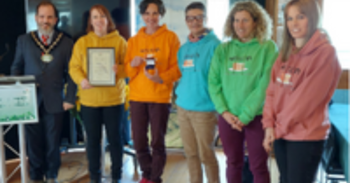 Volunteers receive Silver Kite awards from Chair